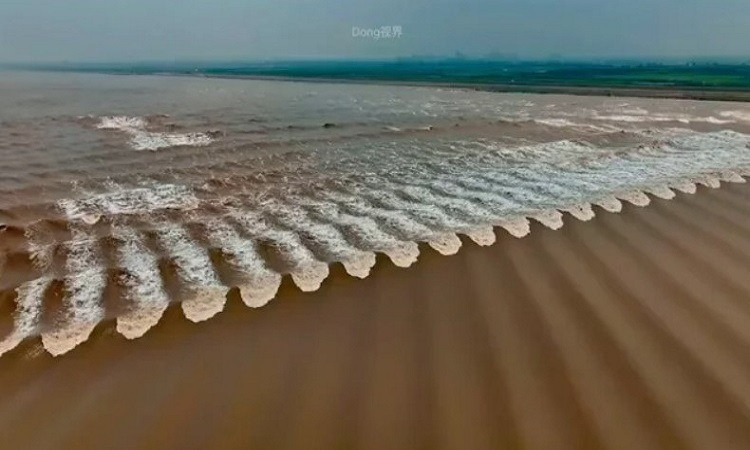 Sông Tiền Đường nổi tiếng với những cơn thủy triều khổng lồ, đặc biệt là tại vùng đổ ra biển, nơi thường có những con sóng "hung dữ" đặc biệt và khác thường, được xem như những "quái vật" nước.