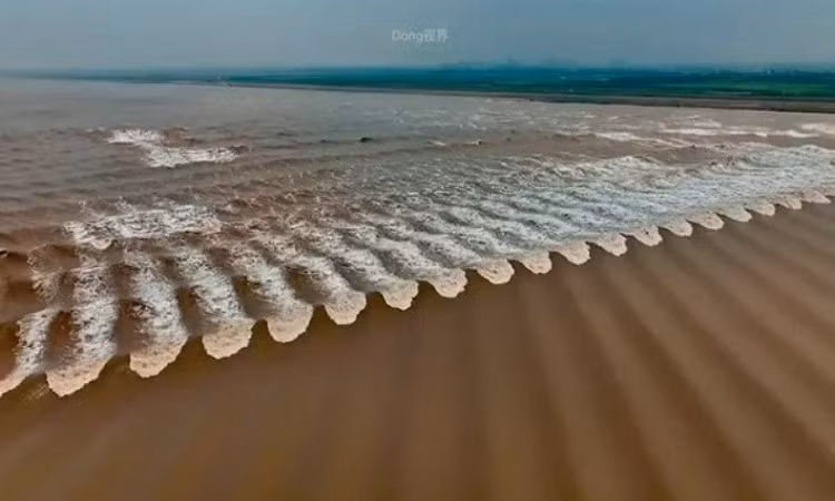 Sông Tiền Đường nổi tiếng với những cơn thủy triều khổng lồ, đặc biệt là tại vùng đổ ra biển, nơi thường có những con sóng "hung dữ" đặc biệt và khác thường, được xem như những "quái vật" nước.