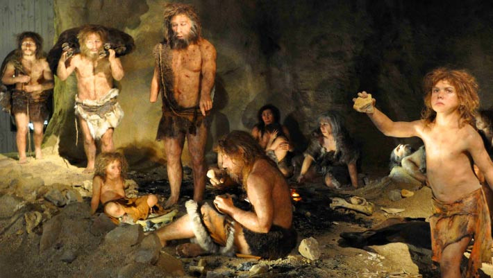 Những người có nguồn gốc bên ngoài châu Phi có khoảng 2% DNA của người Neanderthal trong bộ gen của họ. Vì vậy, theo thống kê, một cách ngẫu nhiên, bạn sẽ cho rằng DNA của người Neanderthal chiếm khoảng 2% nguy cơ di truyền của bệnh. Tuy nhiên, Zeberg thấy rằng con số này lên đến 8,4%, nhiều hơn nhiều so với thống kê ban đầu.