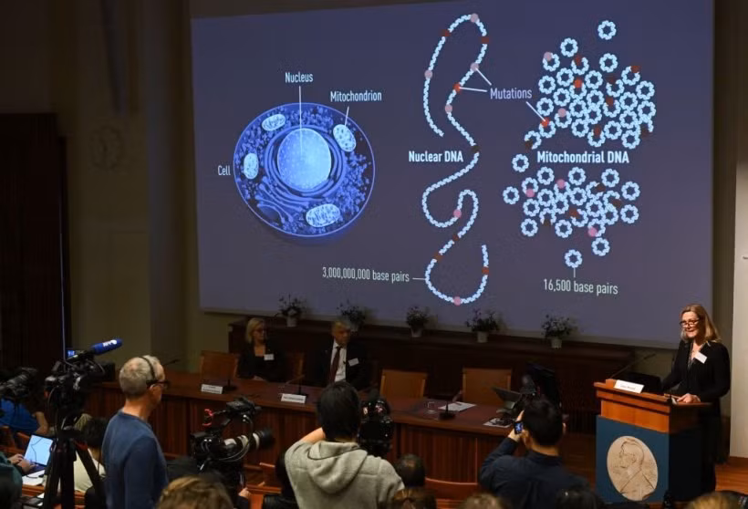 Zeberg cho biết thêm, trước đây chỉ có COVID-19 là căn bệnh duy nhất được phát hiện có mối liên hệ di truyền mạnh mẽ như vậy với người Neanderthal.