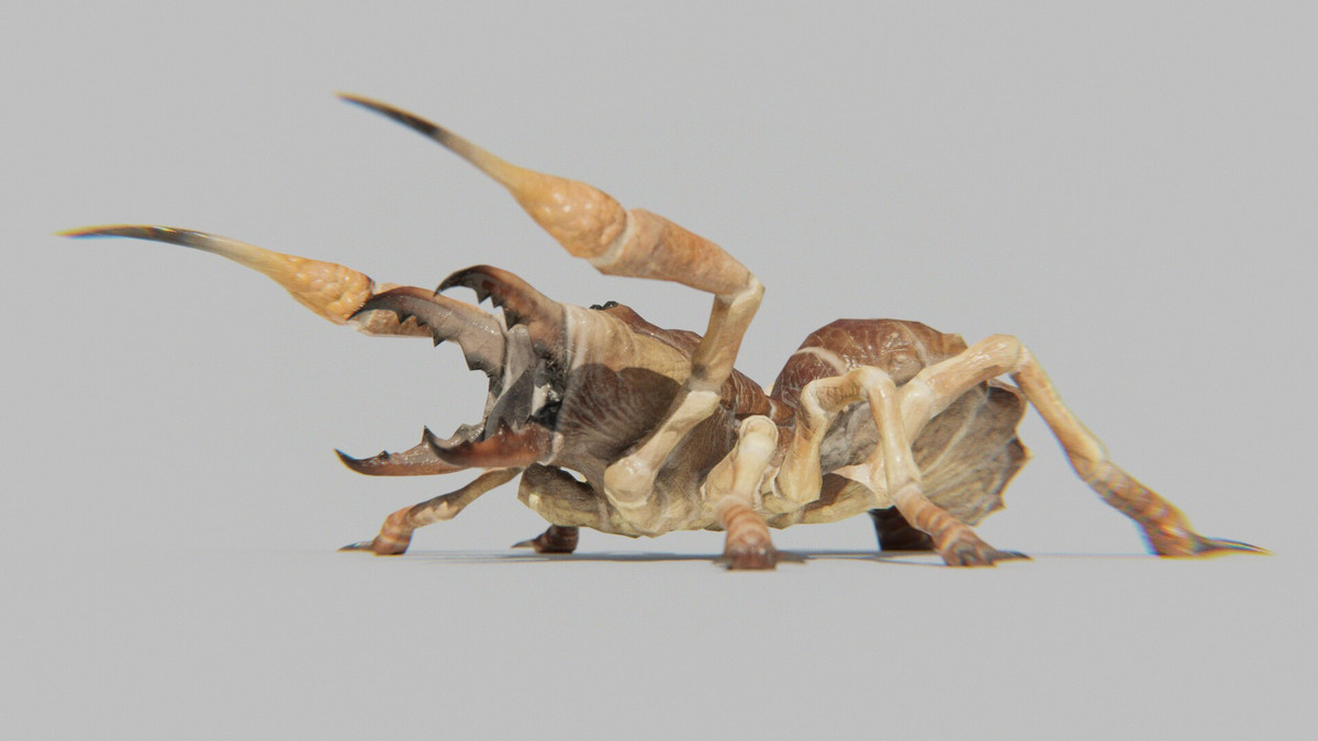 10. Nhện lạc đà. Nhện lạc đà là loài nhện độc nguy hiểm bậc nhất thế giới và có vẻ ngoài cực kinh dị không lẫn vào đâu được, với rất nhiều lông lá và chiếc mồm gớm ghiếc. Phần đầu của chúng có cấu tạo khá giống với bọ cạp, cơ chế sử dụng hàm cũng tương tự mang lại lực cắn rất lớn và có tiết ra nọc độc.