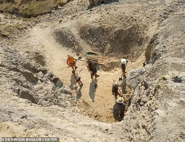 Điều đó tiết lộ chi Daspletosaurus có thể là tổ tiên của khủng long bạo chúa.