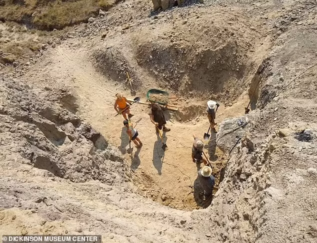 Điều đó tiết lộ chi Daspletosaurus có thể là tổ tiên của khủng long bạo chúa.