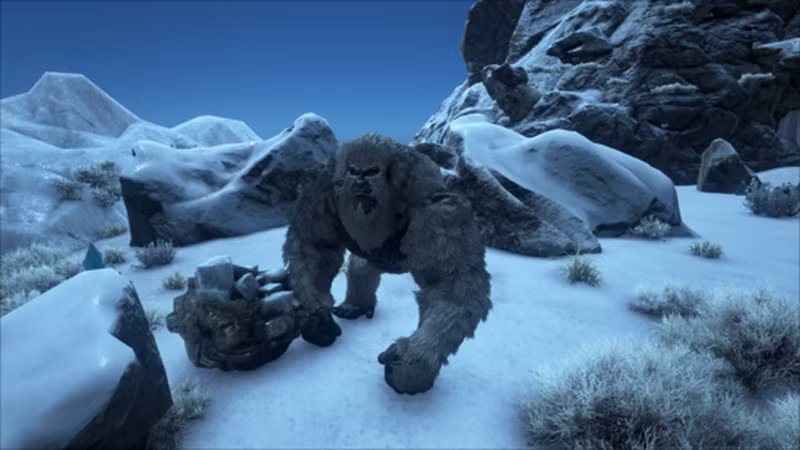 Người ta gọi nó là Người tuyết Yeti ở Himalaya, rồi sau đó còn phát hiện thêm nhiều “anh em” như người chân lớn ở Bắc Mỹ, người Yeren ở Trung Quốc, người rừng ở Việt Nam, người Orang-Pendek ở Indonesia... Vùng mà Yeti xuất hiện còn từng là nơi sinh sống của loài vượn Gigantopithecus, là loài vượn có kích thước lớn gấp đôi vượn ngày nay.