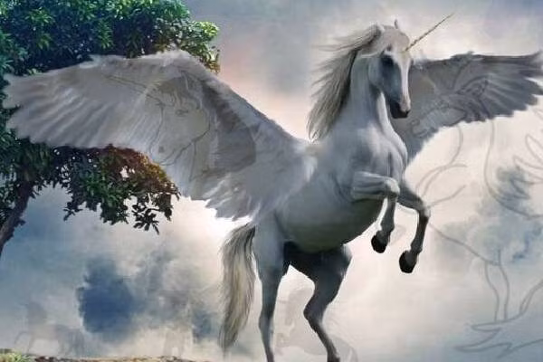 Chiếc sừng ở trán của loài ngựa này rất giống với chiếc răng độc nhất của kỳ lân biển, một loại động vật có vú sống ở biển. Vả lại, cách đây 10.000 năm, từng xuất hiện loài tê giác giống ngựa với tên gọi Elasmotherium. Rất có thể người xưa đã kết hợp hai con vật ấy lại với nhau để cho ra đời sản phẩm từ trí tưởng tượng của mình là ngựa có sừng.