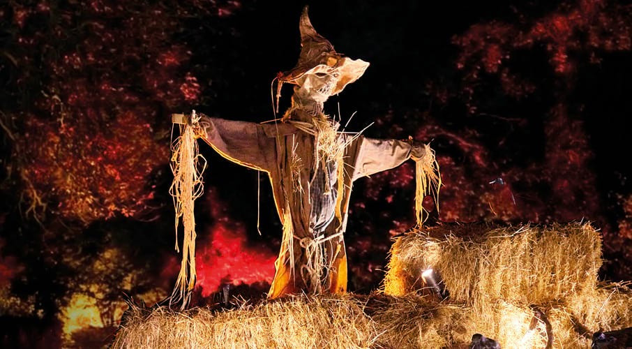 6. Một trong những sự kiện kinh hoàng nhất xảy ra trong Halloween diễn ra tại Napa Valley, California vào năm 2004. Các cô gái Adriane Insogna, Leslie Ann Mazzara và Lauren Meanza đã dành cả buổi tối để phát kẹo cho trẻ em. Sau khi đi ngủ, Lauren tỉnh dậy khi nghe thấy tiếng hét thất thanh của Adriane vào lúc 2 giờ sáng.