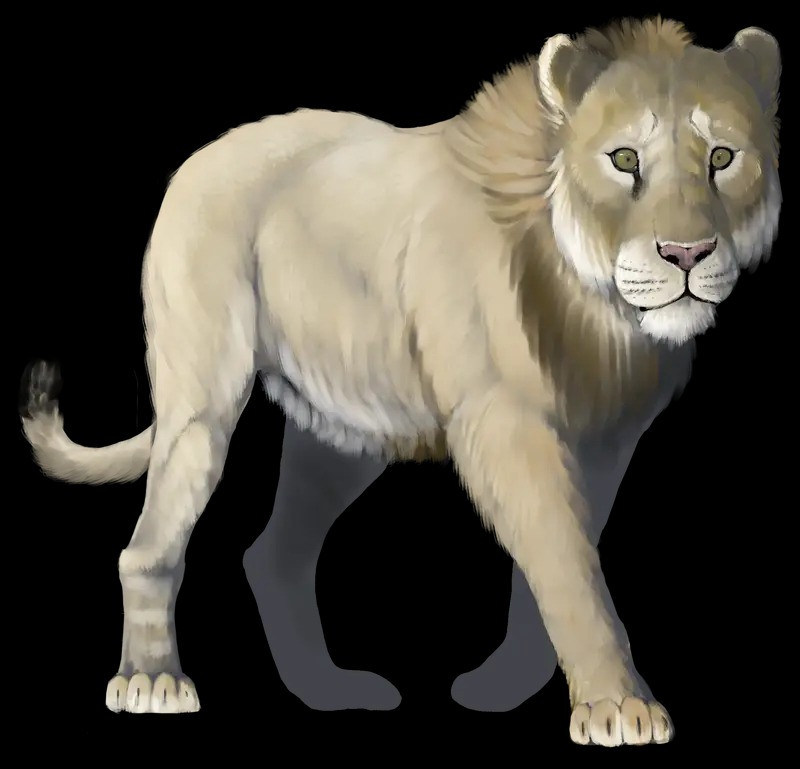 Các dữ liệu trước đây đã giúp giới khoa học khắc họa lại hình ảnh của Panthera atrox. Đó là một con sư tử quái vật to lớn vượt trội so với sư tử hiện nay, thân hình to lớn và cực săn chắc.