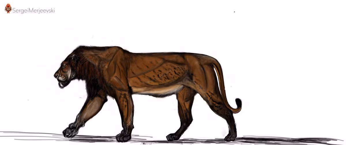 Các chuyên gia xác nhận hóa thạch sư tử này thuộc loài Panthera atrox, thường được gọi là sư tử châu Mỹ khổng lồ.