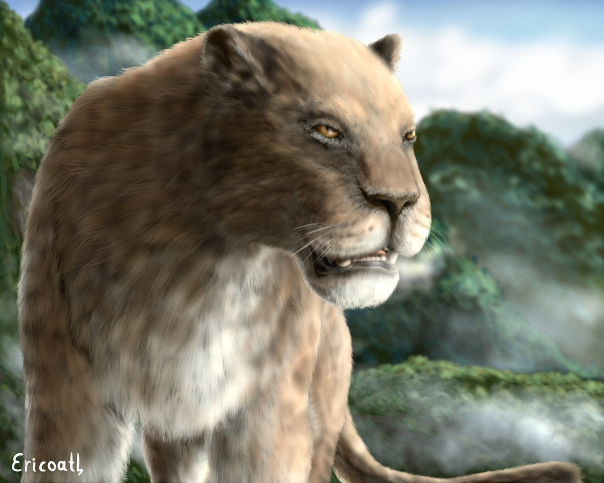 Mẫu vật này rất quý hiếm vì nó là hóa thạch thứ tư của sư tử Mỹ cổ đại được tìm thấy ở Mississippi. Loài sư tử này đã tuyệt chủng cách đây 11.000 năm.