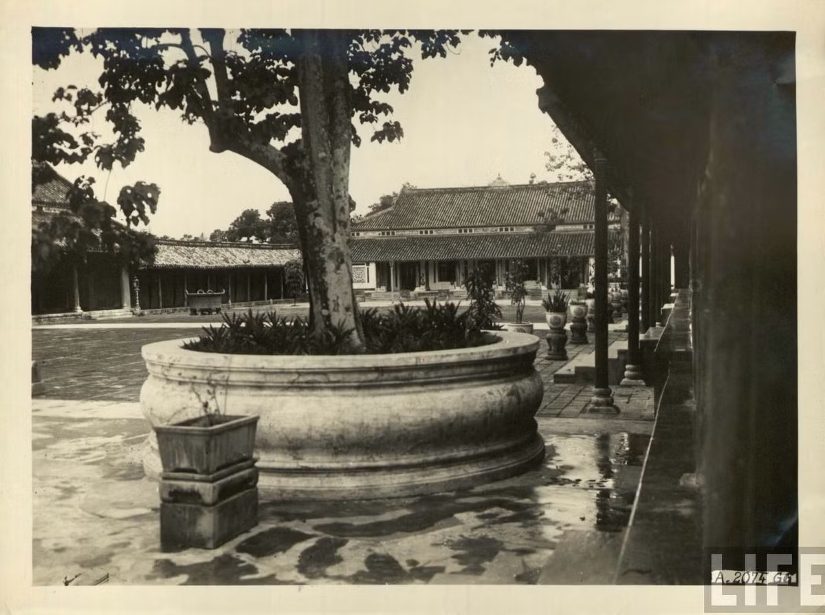 Một góc Đại Nội.