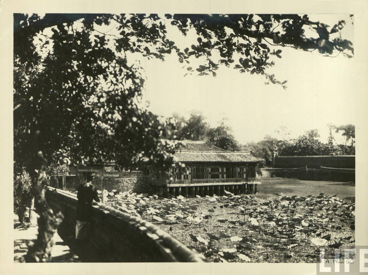 Hồ Lưu Khiêm và Xung Khiêm Tạ ở lăng vua Tự Đức.