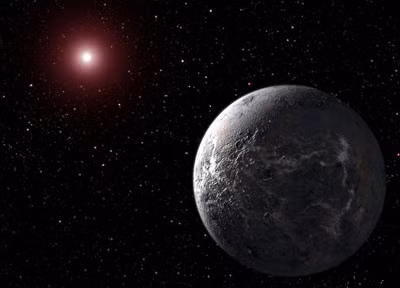 Trong hai thập kỷ kể từ khi cuốn sách trên xuất bản, ngày càng có thêm nhiều hơn sự quan tâm đến giả thuyết này. Trong cuộc trao đổi vào năm 2021, Ward đã kể lại quá trình toàn bộ những ý tưởng về giả thuyết Trái đất hiếm bắt nguồn từ những cuộc nói chuyện về phim ảnh với Brownlee.