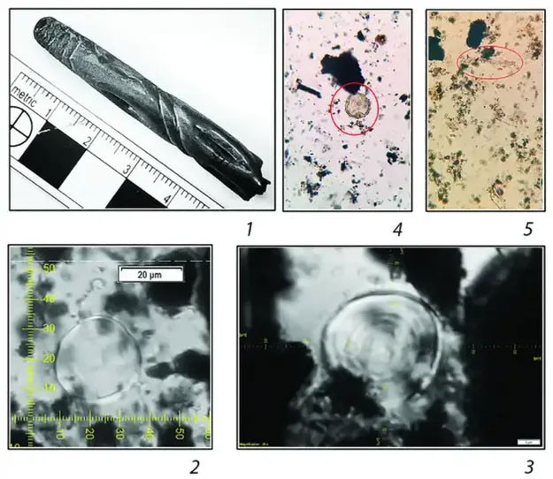 Bộ 8 ống hút bằng vàng và bạc nằm ở bên tay phải hài cốt. Veselovsky nhận định đó là quyền trượng trang trí và lỗ răng cưa ở đầu mỗi ống từng được dùng để gắn đồ trang trí hoặc bờm ngựa.