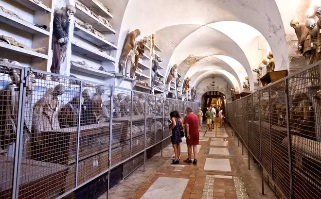 Những manh mối này sẽ cung cấp cái nhìn sâu sắc, rõ ràng hơn về danh tính, sức khỏe và lối sống của những đứa trẻ được ướp xác ở Palermo (Sicily, Ý) thế kỷ 18 và 19.