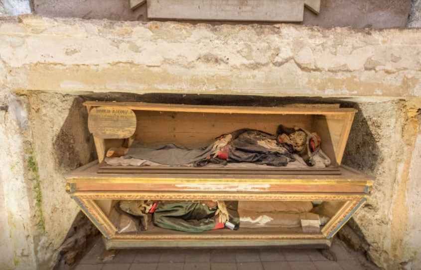 Hiện vẫn có rất ít thông tin về danh tính và nguyên nhân dẫn tới cái chết của những em bé này. Các nhà khoa học cho biết một số xác ướp được bảo quản tốt đến mức đáng kinh ngạc. Nhìn chúng giống như những con "búp bê" nhỏ đang ngủ.