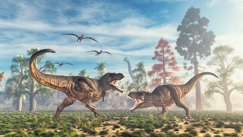 Bất kể con số chính xác là bao nhiêu, cả hai nghiên cứu đều đặt ra một câu hỏi thú vị - tất cả xương T-rex đã ở đâu? Nếu dự đoán của Griebeler là chính xác, điều đó có nghĩa là chúng ta mới chỉ tìm thấy phần còn lại của 0,0000002% những cá thể khủng long bạo chúa này. Đây là một câu hỏi quan trọng cần được nghiên cứu thêm, Griebeler và Marshall cho biết.