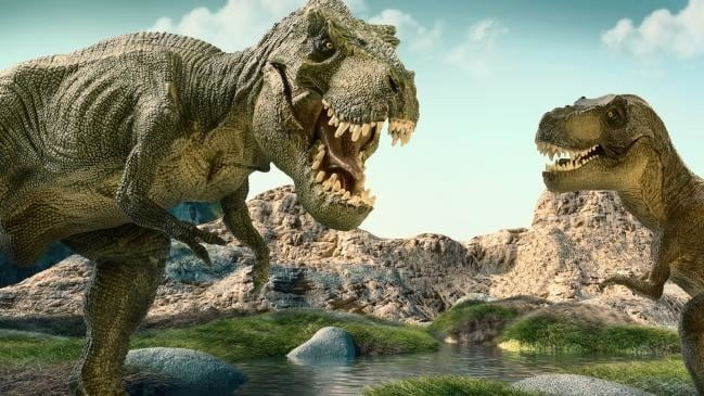 Sự hiểu biết của chúng ta về T. rex liên tục thay đổi. Trong những năm gần đây, nhiều khám phá về loài này đã thay đổi những gì chúng ta biết về các vị vua khủng long đã tuyệt chủng từ lâu.