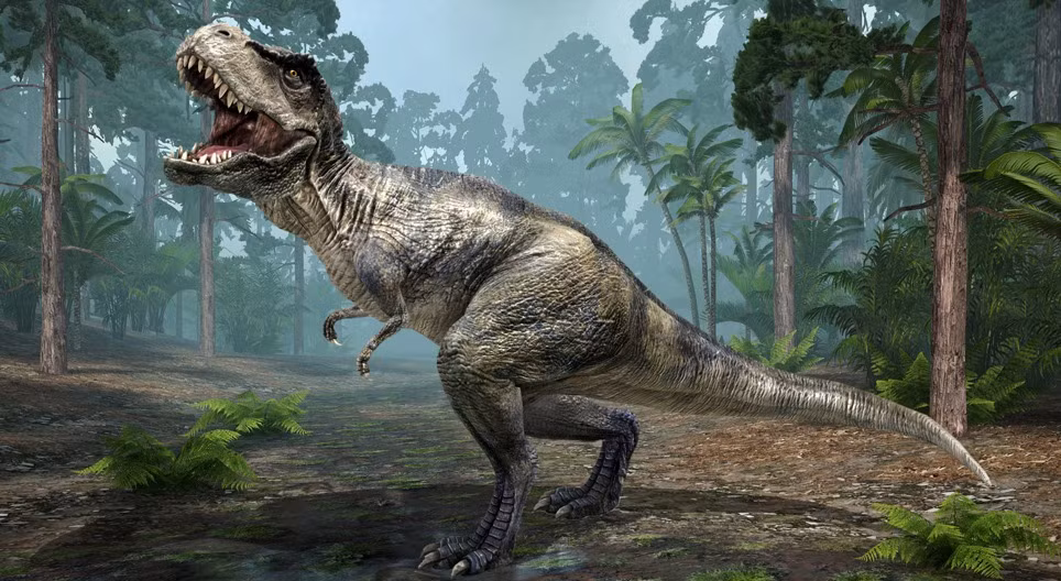 Nghiên cứu của Griebeler nhận thấy những giá trị này có nhiều khả năng giống với những giá trị được thấy ở các loài chim và bò sát hiện đại. Khi các giá trị này được đưa vào mô hình cập nhật, nó tiết lộ rằng có 19.000 cá thể trong mỗi thế hệ T-rex và chỉ có khoảng 90.000 thế hệ, nghĩa là số lượng T-rex tối đa tồn tại là 1,7 tỷ.