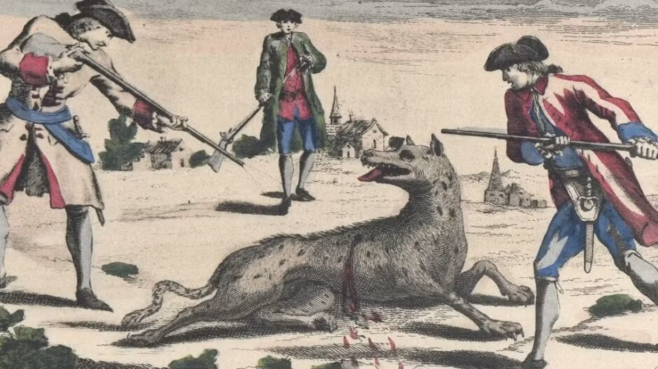 Ngay cả Martin Denneval, một tay săn chó sói nổi tiếng thời đó, cũng không thể đối phó với chúng và tuyên bố: "Chúng không phải là sói, mà là những con thú kỳ quái, hung dữ và rất khôn ngoan!". Cho đến năm 1768, tình hình mới dần yên bình sau khi những con "quái thú" biến mất khi người ta rải rác các mồi chứa chất độc ở những vị trí nghi ngờ.