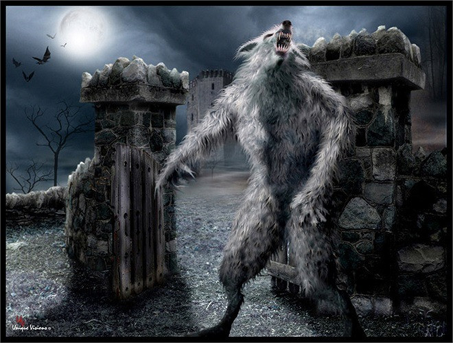 Mọi nỗ lực để phòng thủ và tiêu diệt quái thú đều thất bại, những thợ săn đều mất tích hoặc trở về với thương tích nghiêm trọng, khiến sự sợ hãi leo thang. Một số người dân không còn coi chúng là sói hay động vật hoang dã nữa, mà coi chúng như hiện thân của ác quỷ trong thế giới nhân gian.