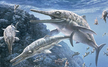 "Hóa thạch nguyên vẹn của sinh vật làm cho dự án này trở nên độc đáo vì nó kể lại một câu chuyện hoàn chỉnh", Tiến sĩ Lene Liebe Delsett từ Bảo tàng Lịch sử Tự nhiên, người đứng đầu nghiên cứu, chia sẻ.