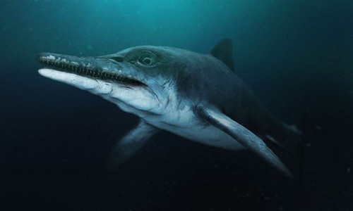 Delsett cùng các cộng sự đã lấy mẫu mô mềm vẫn còn được lưu giữ trong hóa thạch, sau đó xem xét nó qua kính hiển vi điện tử quét và tinh thể học tia X, trong khi xương được quét bằng ánh sáng tia cực tím.