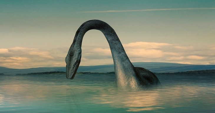 "Cơ hội tìm thấy một con lươn lớn ở hồ Loch Ness là khoảng 1/50.000 đối với mẫu vật dài 1 mét, điều này là hợp lý dựa trên nguồn cá của hồ", Foxon cho biết.