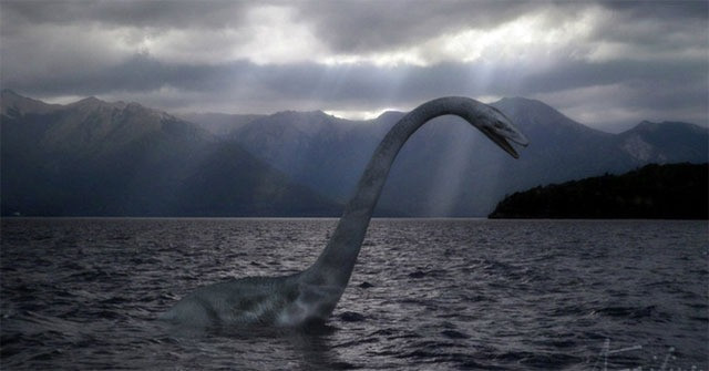 Gemmell và nhóm của ông kết luận rằng nếu ai đó nhìn thấy một thứ gì đó dài ngoằn ngoèo trong hồ, thì có lẽ đó chỉ đơn giản là một con lươn khổng lồ?