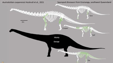 Sau đó, một buổi giới thiệu khoáng vật ở Pháp góp phần hé lộ tầm quan trọng của khối đá. Một người bán hàng đưa cho Hansen xem quả trứng khủng long hóa thạch hình tròn với phần vỏ mỏng và đá mã não ở chính giữa. Bà lập tức liên hệ với mẫu vật đang trưng bày ở bảo tàng.