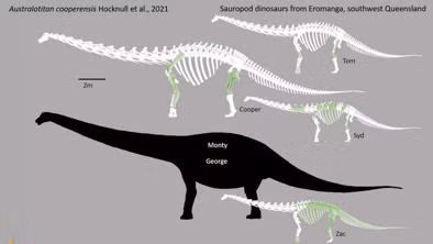 Sau đó, một buổi giới thiệu khoáng vật ở Pháp góp phần hé lộ tầm quan trọng của khối đá. Một người bán hàng đưa cho Hansen xem quả trứng khủng long hóa thạch hình tròn với phần vỏ mỏng và đá mã não ở chính giữa. Bà lập tức liên hệ với mẫu vật đang trưng bày ở bảo tàng.