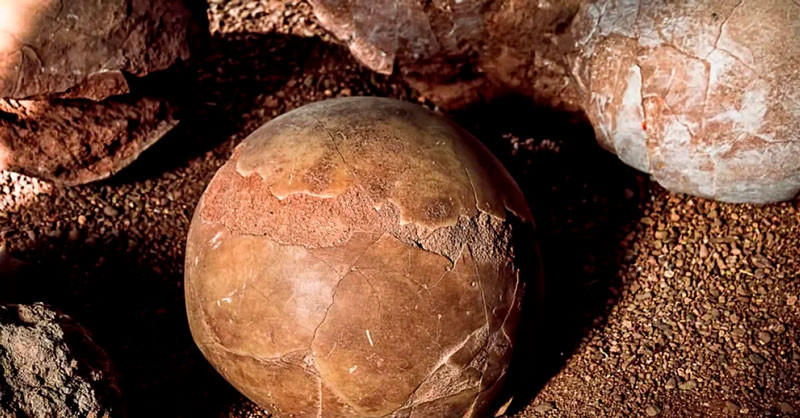 "Mẫu vật này là một ví dụ hoàn hảo về tầm quan trọng của bộ sưu tập trong bảo tàng. Nó từng được phân loại là đá mã não vào năm 1883. Mãi tới giờ, chúng tôi mới nhận ra đá mã não lấp đầy cấu trúc hình tròn là trứng khủng long", Hansen chia sẻ.