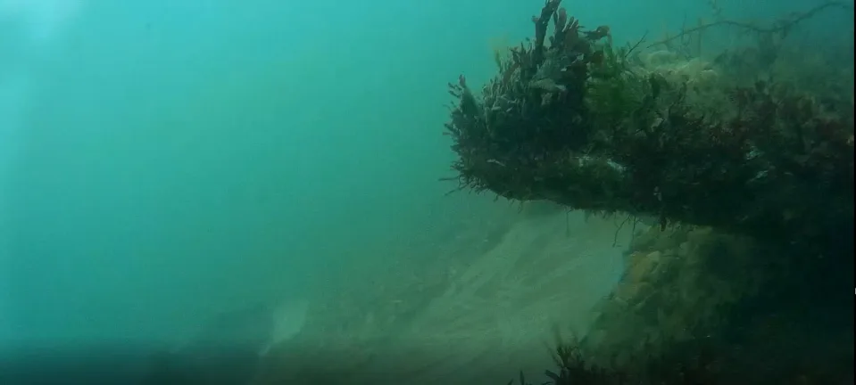 Mỗi phiến đá được trang trí bằng một kiểu thánh giá mà từ trước đến nay, các nhà khảo cổ vẫn cho rằng chúng thuộc những thời kỳ khác nhau.