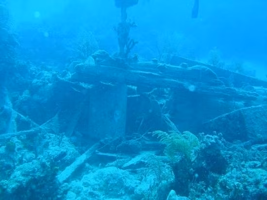 Tiến sĩ Sean Kingsley, nhà khảo cổ học hải dương người Anh kiêm biên tập tạp chí Wreckwatch, cho biết những phát hiện đặc biệt đáng chú ý do nằm dưới lớp cát lèn chặt ở đáy biển.