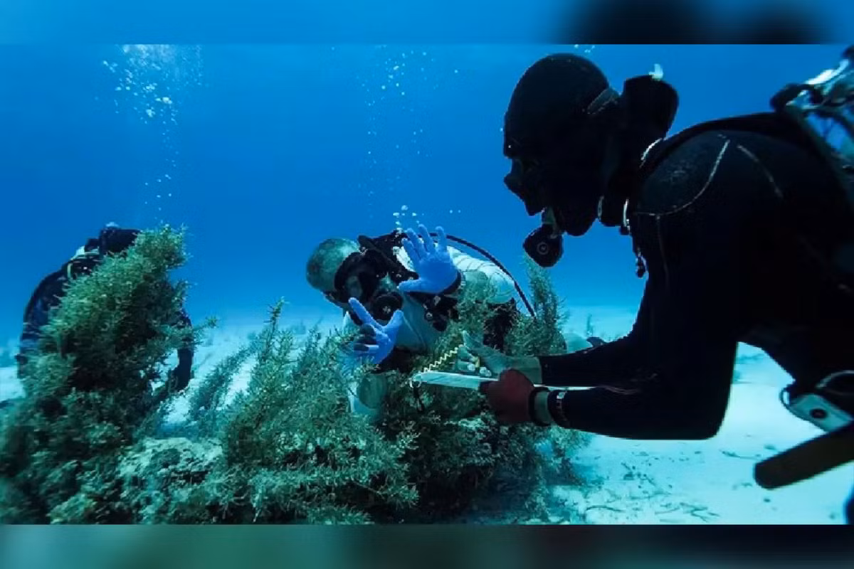 Vì vậy, khi các nhà khảo cổ tiến hành chuyến thám hiểm xác tàu đắm gần đây, họ không hy vọng tìm thấy thứ gì còn sót lại. Nhưng trái với dự đoán, phát hiện bao gồm những mặt dây chuyền nạm đá quý và sợi xích vàng nằm nguyên vẹn dưới đáy biển suốt hàng trăm năm qua.