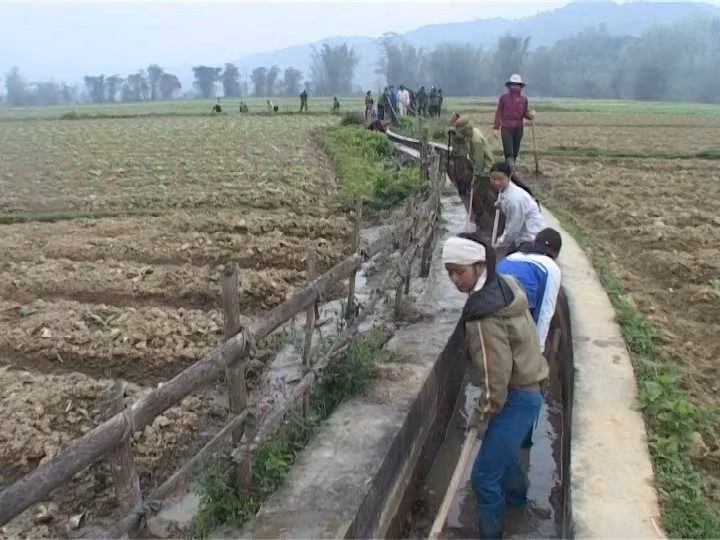 Do các con kênh trong làng bị khô cạn vì phù sa chặn lại, lo ngại rằng việc này sẽ ảnh hưởng đến việc cày cấy của người dân, những người đứng đầu làng Đại Cừ, thị trấn An Định, thành phố Bắc Kinh quyết định dùng máy xúc tới khơi thông dòng kênh và đã phát hiện mộ cổ 2.000 năm.