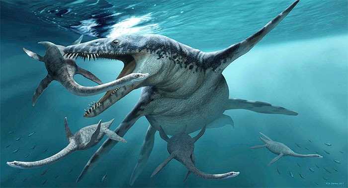 2. Liopleurodon. Liopleurodon là loài thằn lằn biển có chiều dài lên tới 6m. Chúng sống chủ yếu ở vùng biển châu Âu vào kỷ Juras. Bộ hàm của nó có thể dài tới 3m, với những chiếc răng vô cùng lớn. Loài thằn lằn này có khả năng săn mồi nhanh, bất ngờ khiến nó trở thành một trong những loài thủy quái đáng sợ nhất thế giới thời tiền sử.