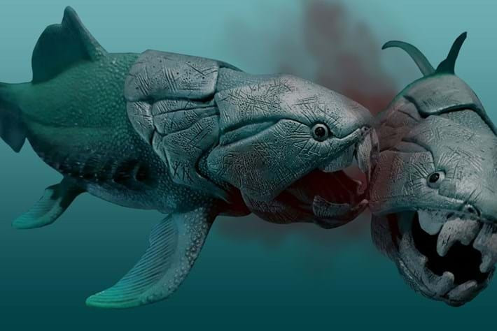 6. Dunkleosteus. Dunkleosteus là một chi cá da phiến tuyệt chủng, từng tồn tại vào cuối kỷ Devon (khoảng 380-360 triệu năm trước). Vài loài trong số chúng, ví dụ như D. terrelli, D. marsaisi, và D. magnificus, nằm trong số những loài cá da phiến lớn nhất từng sinh tồn.