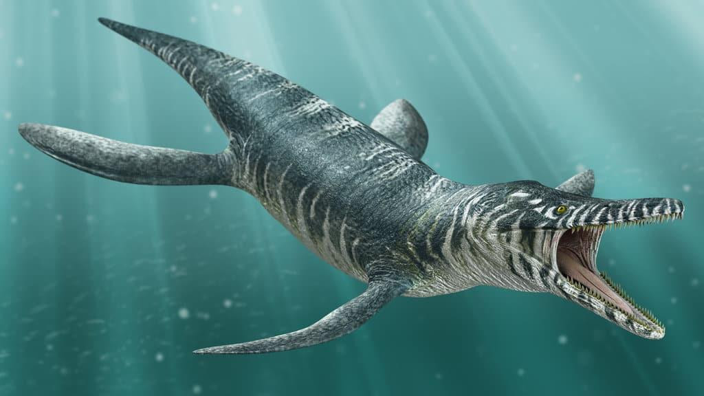 7. Kronosaurus. Kronosaurus là loài động vật săn mồi tối cao ở thời giữa kỷ Cretaceous. Chiều dài của nó lên tới 9-10m, nặng 7 tấn, với cái đầu lớn, hàm khỏe và răng dài đến 7cm, chiếc lớn nhất dài tới 30cm.