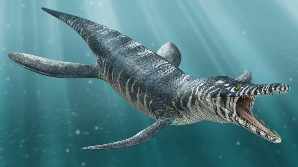 7. Kronosaurus. Kronosaurus là loài động vật săn mồi tối cao ở thời giữa kỷ Cretaceous. Chiều dài của nó lên tới 9-10m, nặng 7 tấn, với cái đầu lớn, hàm khỏe và răng dài đến 7cm, chiếc lớn nhất dài tới 30cm.