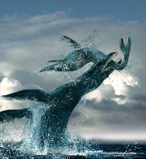 Martill bắt gặp những mẩu xương khi xem qua các ngăn kéo hóa thạch tại Bảo tàng Hội trường hạt Abingdon ở Anh. Sau khi bắt gặp một đốt sống lớn, người phụ trách bảo tàng thông báo cho anh rằng ba chiếc nữa cũng đang được cất giữ.