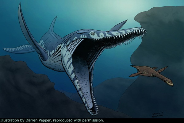Pliosaurs là loài săn mồi lớn nhất của đại dương trong kỷ Jura (201-145 triệu năm trước). Chúng rình rập trên biển bằng bốn chân chèo mạnh mẽ giống như mái chèo.