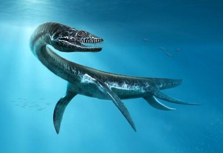 Pliosaurs có khả năng là kẻ săn mồi phục kích, nhảy ra và chiếm lấy con mồi từ vùng nước sâu và tối và đâm chúng bằng hàm răng sắc như dao găm, trước khi nghiền nát bằng một cú cắn mạnh hơn cả Tyrannosaurus rex.