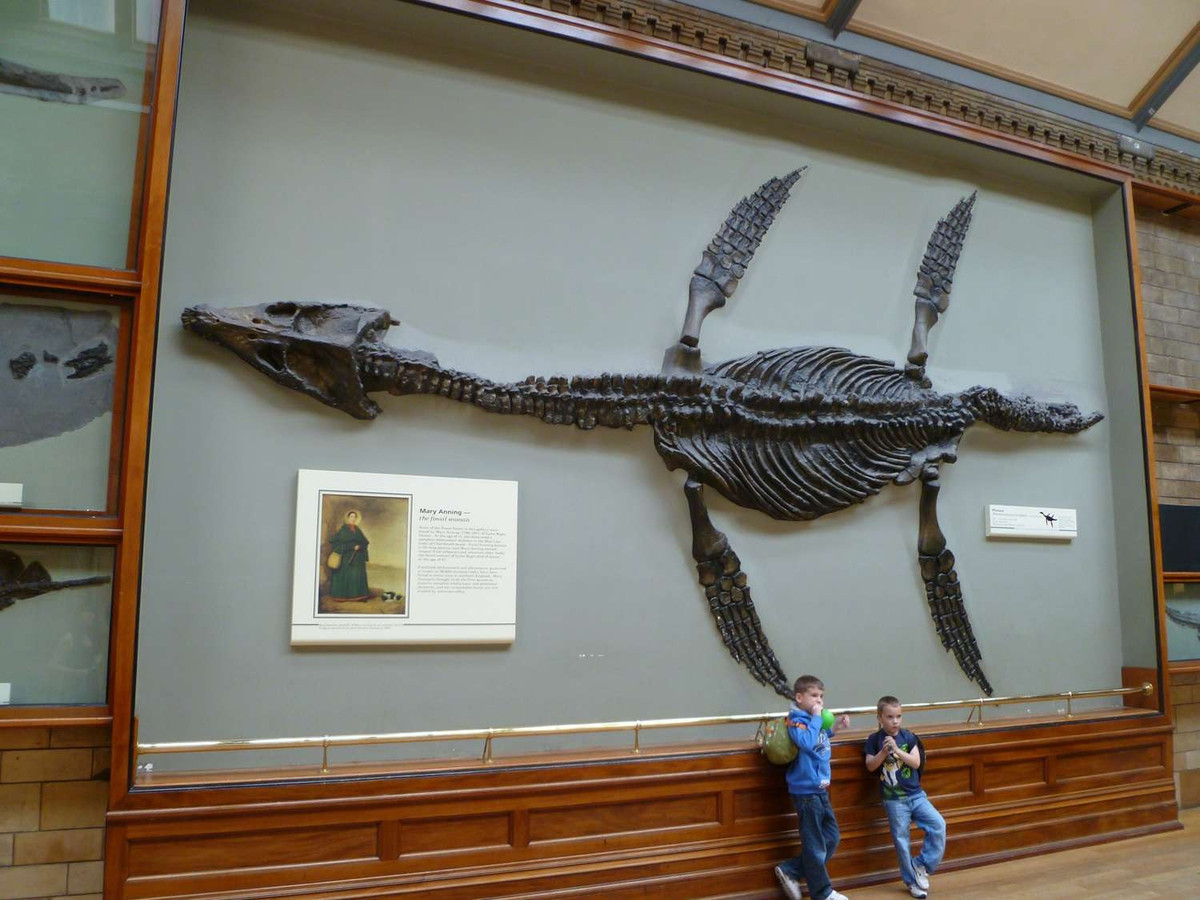 "Chúng đứng đầu chuỗi thức ăn ở biển và có lẽ con mồi của chúng là ichthyosaur, plesiosaur cổ dài và thậm chí có thể là cá sấu biển, chỉ đơn giản bằng cách cắn đứt con mồi làm đôi và từ từ thưởng thức."