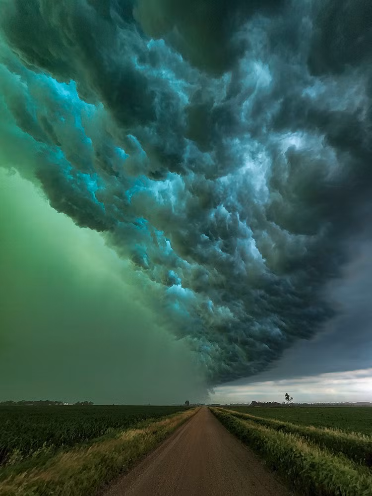"Bầu trời xanh lá cây đã thu hút sự chú ý của rất nhiều người và tôi đoán nó sẽ trở thành chủ đề được thảo luận trong một thời gian khá dài", Rogers chia sẻ.