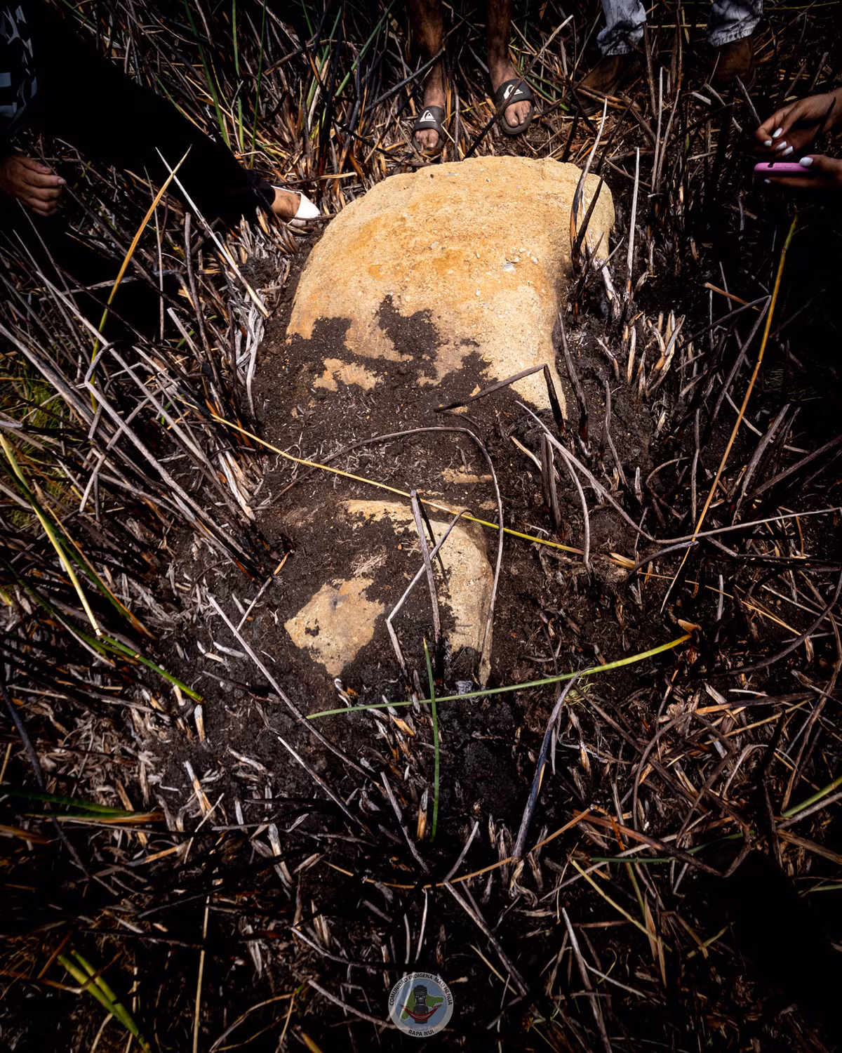 Ninoska Avareipua Huki Cuadros, giám đốc cộng đồng bản địa Ma'u Henua, quản lý Vườn quốc gia Rapa Nui, nơi núi lửa được tìm thấy, cho biết: "Moai này nằm ở trung tâm của một đầm phá bắt đầu khô cạn vào năm 2018".