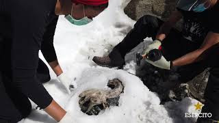 Ngoài ra, đây cũng là cơ hội để tìm hiểu nhiều hơn về quá trình ướp xác tự nhiên. Sông băng trên dãy Alps đang tan chảy ở tốc độ nhanh chưa từng có vào mùa hè năm nay. Với tốc độ tan chảy này, ngày càng nhiều xác người và động vật sẽ lộ ra.