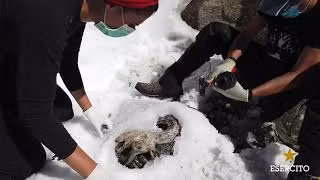 Ngoài ra, đây cũng là cơ hội để tìm hiểu nhiều hơn về quá trình ướp xác tự nhiên. Sông băng trên dãy Alps đang tan chảy ở tốc độ nhanh chưa từng có vào mùa hè năm nay. Với tốc độ tan chảy này, ngày càng nhiều xác người và động vật sẽ lộ ra.