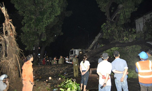 Dan duoc boi thuong 3,6 ty dong sau con 