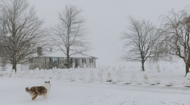 Các nhà dự báo cho biết đợt lạnh khắc nghiệt này dự kiến sẽ ảnh hưởng đến toàn bang Texas trong khi trận gió mạnh khiến nhiệt độ xuống thấp tới - 56 độ C ở Montana và Dakota.