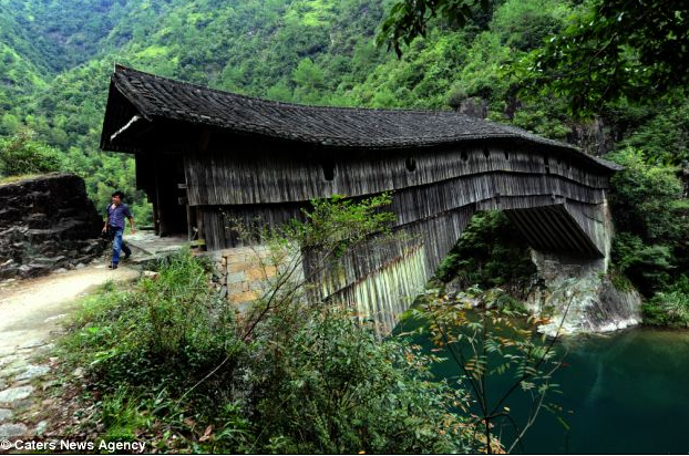 Theo Daily Mail, những cây cầu bắc qua hai bờ cây xanh tươi tốt và được xây dựng từ gỗ có thể được bắt gặp ở các tỉnh Phúc Kiến, Chiết Giang, Trung Quốc. Ảnh: Một người đàn ông đi ngang qua cây cầu vòm gỗ Yangmeizhou ở làng Kengdi, huyện Shouning, được xây dựng từ thời nhà Minh. (Nguồn ảnh: Daily Mail)